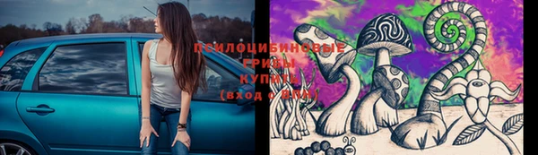 стафф Алексин