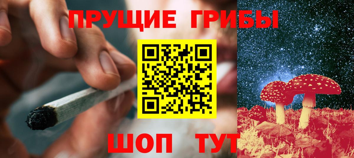 Галлюциногенные грибы Cubensis Гурьевск