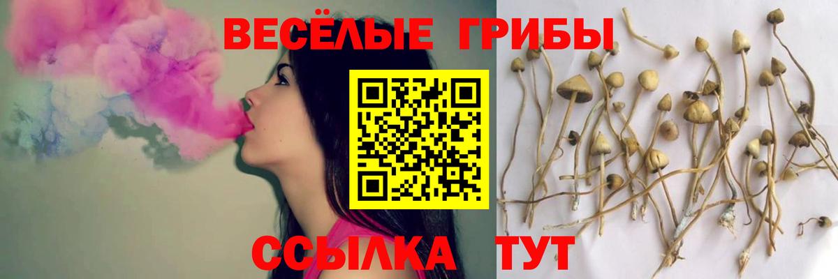 Гурьевск  Псилоцибиновые грибы ЛСД  Вход с VPN 